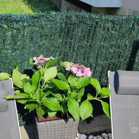 Quérote Fisterra1 Apartamento